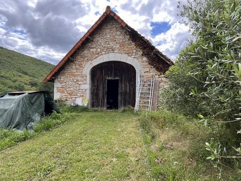 photo no. 10