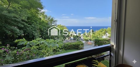Studio - Vue mer et charme créole à l’Anse à l’Âne