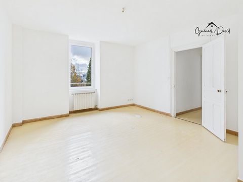 photo no. 4