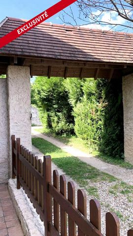 photo no. 10