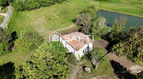 Maison à Rénover 110m² - Nérac - 3 Chambres, Terrain 6.4ha, Étang, Forêt.