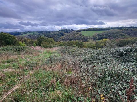 TERRAIN AGRICOLE AVEC POSSIBILITÉ DE CERTIFICATION BIO IMMÉDIATE