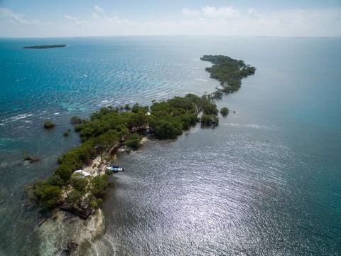 5 Acre Private Island Paradise assis dans les eaux caribéennes du Belize, à seulement six (6) miles de Placencia L’île a été remplie et prête pour le développement Vente rapide et due diligence disponibles pour les acheteurs qualifiés Plans de maison...