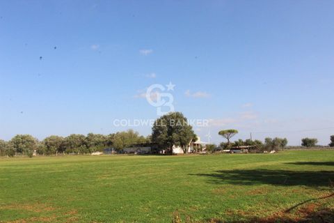 PUGLIEN. Brindisi (in de buurt van Mesagne) VILLA TE KOOP Coldwell Banker biedt exclusief een villa te koop aan, ondergedompeld in het prachtige Apulische platteland, omgeven door een perceel van ongeveer 70.000 vierkante meter, beplant met 134 olijf...