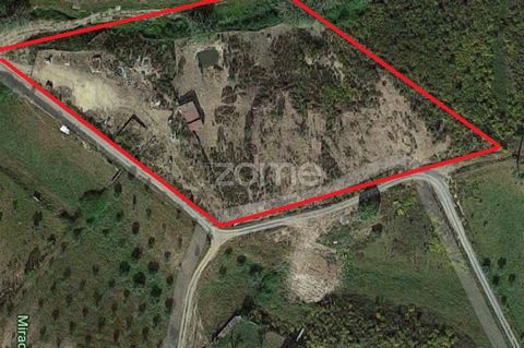 Identificação do imóvel: ZMPT556454 Explore the potential of this incredible plot of land, strategically located just a 1-minute drive from the charming Vila Alva. With easy and completely fenced access, this land offers unparalleled convenience and ...
