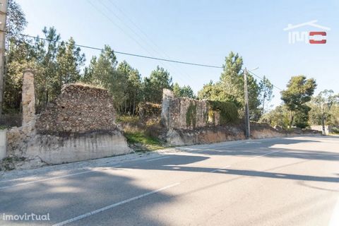 Land with 12000m2 located in the parish of Caranguejeira, Grinde with 50 meters of road front and excellent access. Investment opportunity to create condominium with several villas or make large warehouse.