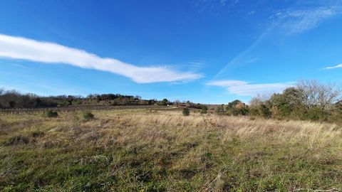Village with all shops, cafe and school, 20 minutes from Beziers, 25 minutes from the coast and 20 minutes from A9 and A75 motorways. Former vineyard in natural and agricultural zones (about half A and Half N) of 4620 m2, not fenced. Constructions, m...