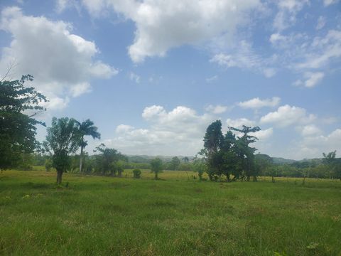 This flat 7738sq meters of Riverside land is available as one piece of land or in smaller size lots. There are 14 lots at 500 sq meters and 2 lots at 370 sq meters all with individual titles. Veragua is a real treasure located in the North side of be...