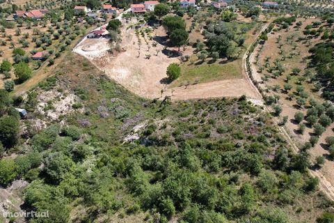 Excellent rustic and agricultural land, situated on the outskirts of the city of Tomar, with 4560m2 of total area and moderate slope to the middle of the land, which goes to the valley, and rising again to the extreme and the access of service on dir...