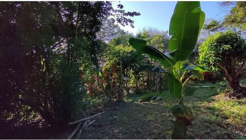 2 hectare grond, beschikbaar in het koele klimaat van Niquinohomo. Dit is een geweldige kans om uw droomhuis te bouwen, omringd door weelderig groen en fruitbomen, klaar om geplukt te worden. Het gebied is vredig en rustig, gelegen aan de rand van de...
