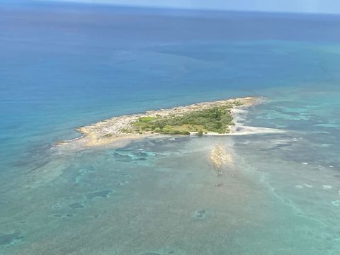 Wood Cay is a serene 14-acre private island, strategically positioned just 2.5 miles from the renowned Old Bahama Bay Resort and Yacht Harbour in West End, Grand Bahama. Situated only 56 miles east of West Palm Beach, Florida, this secluded paradise ...
