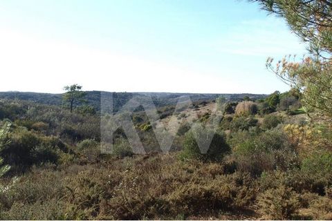 Rustic land with 52800 m2 located in Vale de Água, Barão de São Miguel Land with a flat part and some slopes. Offering Arvense and Eucalyptus crops, with 2 water wells. Distances: - 2 km from Barão de São Miguel, services and commercial spaces - 5.6 ...