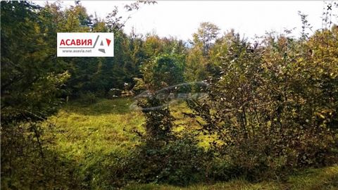 OFERTA 11980 - AGENCJA 'ASAVIA - LOVECH PROPERTIES' Oferuje działki z możliwością wyboru od 1 do 3 akrów w dzielnicy Dragalevtsi. Widoczny. Wszystkie działki przylegają do siebie i tworzą dużą nieruchomość o łącznej powierzchni 10 akrów. Znajdują się...