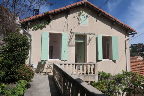 photo no. 10