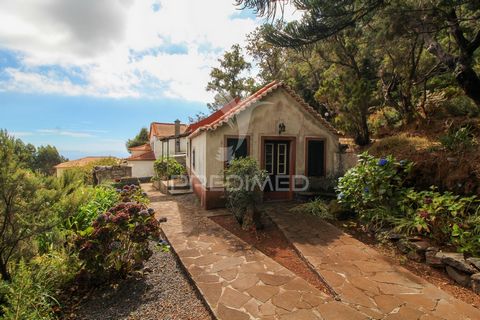 Set van 2 huizen, een van hen T3 en de andere T1. Ingevoegd in 2 percelen met een totaal van 1916 m2. Beide huizen hebben renovatiewerkzaamheden nodig. Gelegen in het centrum van het dorp Camacha naast Quinta do Pomar. Deze villa's hebben de mogelijk...