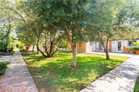 Detached villa on one floor with swimming pool on a plot of approximately 2,279m2. This property has a constructed area of 423m2 approx. The house has an area of 215m2 on one floor, hall, large living room, large fitted kitchen with office, 5 bedroom...