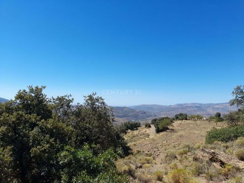 Rustieke finca van Secano te koop in Laroles · Locatie: Laroles, vlakbij het natuurpark · Beschrijving van de woning: Ontdek deze charmante rustieke finca van Secano gelegen in de prachtige streek Laroles. Deze boerderij, die zich uitstrekt over een ...