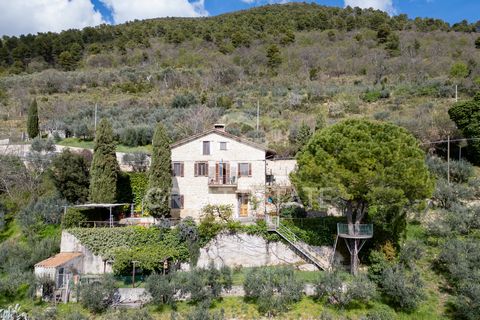 Inmitten der Hügel Umbriens befindet sich dieses rustikale Steinhaus mit einem terrassenförmig angelegten Garten, der einen herrlichen Blick auf das darunter liegende Tal und einen großen Olivenhain bietet, nur wenige Kilometer von der wunderschönen ...