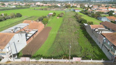 Inserido numa zona sossegada, este terreno tem uma localização privilegiada para quem pretende construir a sua casa de sonho fora da confusão da cidade mas ao mesmo tempo localizado. Terreno Rústico na freguesia de Bolho com uma área total de 4.750 m...