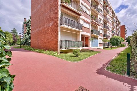 photo no. 17