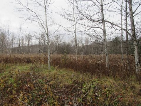 Terrain à vendre idéalement situé à seulement 20 minutes de l'autoroute 10, sortie 106, 8 678 mètres carrés 100 mètres sur la route 243, limites restantes principalement définies par un ruisseau d'importance. À proximité de la station de ski Owl's He...