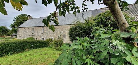 Für Liebhaber von schönem Stein entdecken Sie dieses große Gebäude aus dem dreizehnten Jahrhundert zum Renovieren. Sehr gutes Wohnpotenzial für dieses Haus von 130m2 (170 m2 möglich), ganz zu schweigen von dem angrenzenden Nebengebäude, das auch umge...