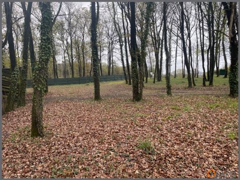 Safti Val de Loire vous présente une nouveauté sur le secteur de Saumur. Terrain à bâtir ( Constructible ) sur une surface entièrement borné de 1874 M2 cadastré ( Plan de bornage disponible). Terrain plat pas de pente. Secteur boisé à quelques minute...