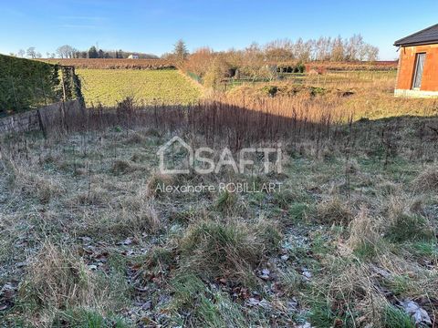 Je vous propose de venir découvrir ce magnifique terrain constructible de 475 m2 situé dans un secteur prisé sur la commune d'Aix Noulette. La parcelle est bornée, viabilisée et libre de constructeur. Façade de 18 mètres. Une visite s'impose !!! Les ...