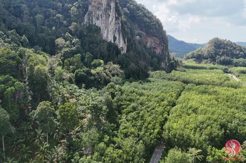 This 10-rai rubber plantation in Ao Nang, Krabi, is ideal for investment or development. With mountain views and a peaceful natural setting, the land offers approximately 285 meters of road frontage and a width of about 70 meters, with access to elec...