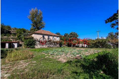 Kleine boerderij om te herstellen in Cinfães Totale oppervlakte - 13.000m2 Samengesteld uit: - Woonhuis; - Olijfoliemolen; - Bergingen en berging Functies: -Fruitbomen -Wijngaard -Graanschuur - Grond voor teelt Naast deze woning hebben we nog meer op...