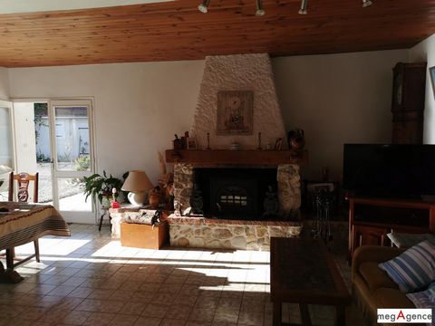 photo no. 11