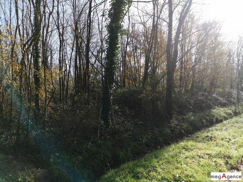 photo no. 16