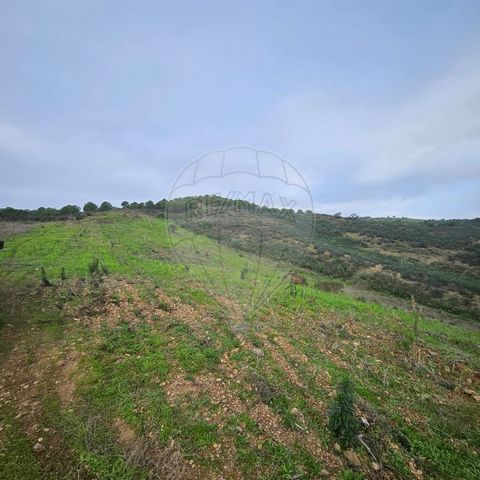 Terrain rustique à vendre, Terrain rustique de 30360m² situé dans la paroisse d’Azinhal, Municipalité de Castro Marim. Cette propriété offre une atmosphère sereine et de nombreuses possibilités d’investissement. Il se trouve à 3,5 km du fleuve Guadia...