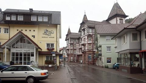 El moderno apartamento de 3 dormitorios en Bad PeterStal-Griesbach está situado en un magnífico lugar orientado al sur, en medio de este pintoresco país de viñedos y huertos en la región de Baden. Es adecuado para familias y grupos de amigos, y puede...