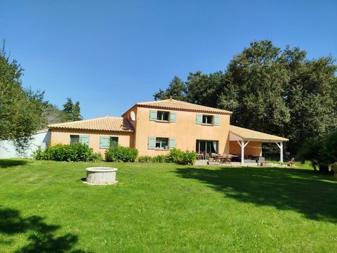 photo no. 2