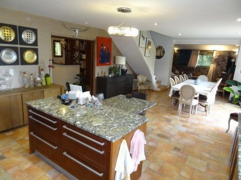 photo no. 9