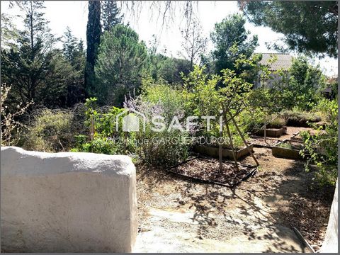 photo no. 14