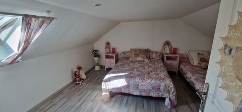 photo no. 11