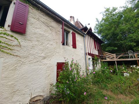 photo no. 11