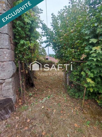 photo no. 12