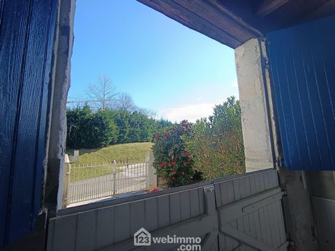 photo no. 15