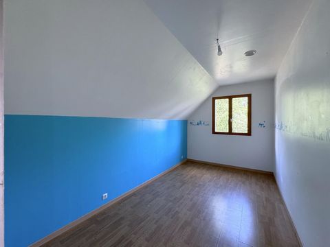 photo no. 8