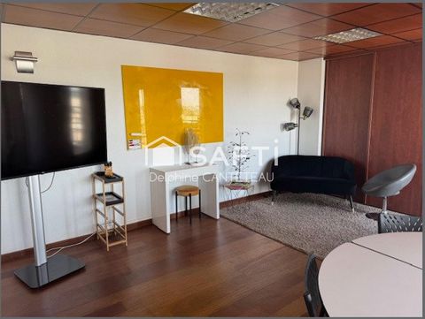 Magnifique appartement/bureau à Toulouse