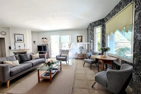 photo no. 2