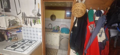 photo no. 15