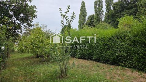photo no. 11