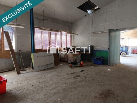 photo no. 11
