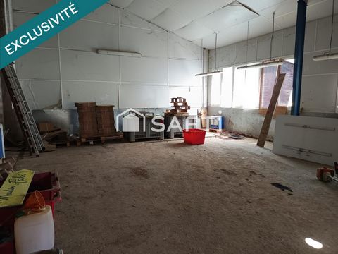 photo no. 12