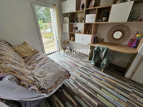 photo no. 6