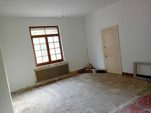 photo no. 7